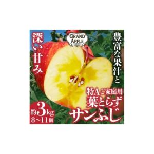 ふるさと納税 りんご 青森県 藤崎町 皮ごとバリッ 葉とらずサンふじ　特Aご家庭用 約3kg 1353849