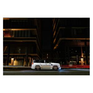 ふるさと納税 雑貨・日用品 大阪府 阪南市 ト...の詳細画像2