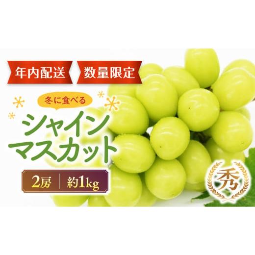 ふるさと納税 ぶどう マスカット 山梨県 甲斐市  2025年12月発送 冬のシャインマスカット 2...