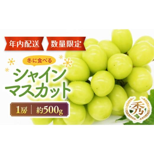 ふるさと納税 ぶどう マスカット 山梨県 甲斐市  2025年12月発送 冬のシャインマスカット 1...