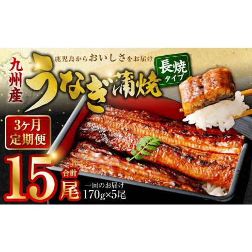 ふるさと納税 うなぎ 鹿児島県 薩摩川内市 JS-224 3カ月定期便 九州産うなぎ蒲焼 約170g...