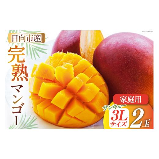 ふるさと納税 マンゴー 宮崎県 日向市  2026年夏発送 「生産者応援・数量限定」 訳あり 宮崎 ...