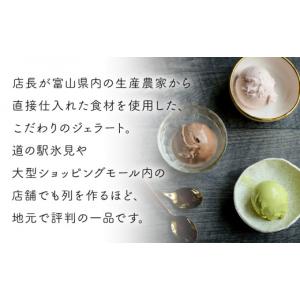 ふるさと納税 アイス・ヨーグルト ジェラート ...の詳細画像2