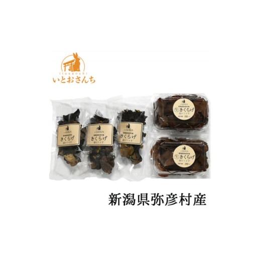 ふるさと納税 野菜類 きのこ 新潟県 弥彦村 新潟県弥彦村産　越のうさぎ 　生きくらげ250g×2、...