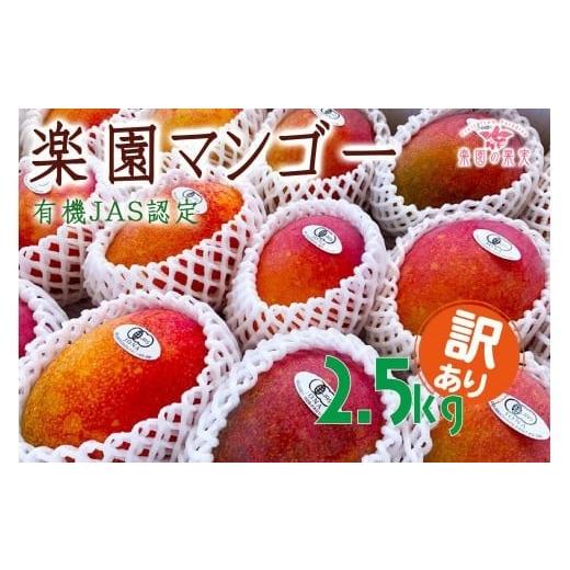 ふるさと納税 マンゴー 沖縄県 宮古島市 DQ021《先行予約》2026年発送 有機JAS認証マンゴ...