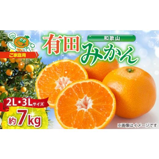 ふるさと納税 果物類 みかん 和歌山県 湯浅町 ZJ6090_ご家庭用　和歌山 有田みかん 約7kg...