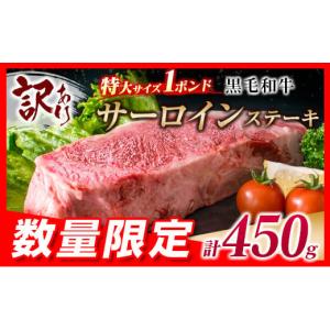 ふるさと納税 宮崎県 日南市 訳あり 数量限定 特大サイズ 1ポンド 黒毛和牛 サーロインステーキ 計450g 肉 牛 牛肉 国産 ステーキ 焼肉 おかず 食品 送料無料_…