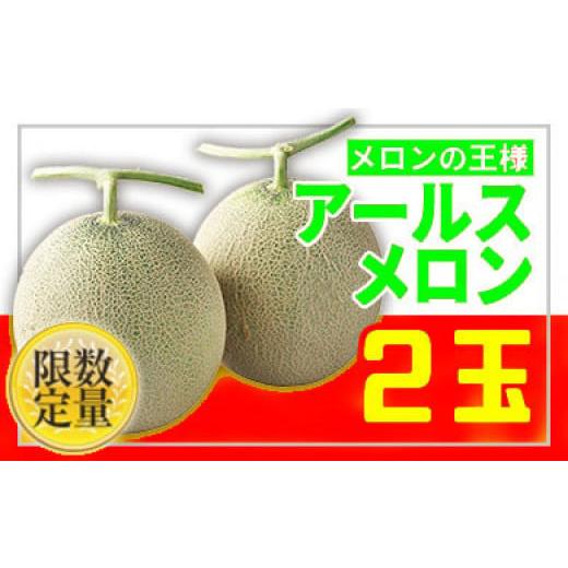 ふるさと納税 山形県 山形市 ★フルーツ王国山形★アールスメロン 秀品 2玉 約3kg 【令和6年産...