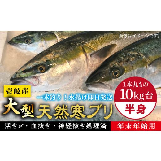 ふるさと納税 長崎県 壱岐市 【11／1〜1／15お届け 年末年始用】壱岐島産天然寒ブリ（一本丸もの...