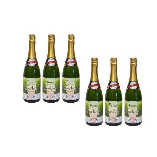 ふるさと納税 ワイン スパークリングワイン 岡山県 倉敷市 ふなおワイナリー マスカット・オブ・アレ...