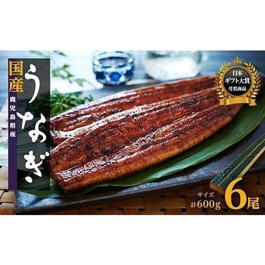 ふるさと納税 うなぎ 鹿児島県 大崎町 数量限定 鹿児島県産うなぎ長蒲焼6尾 約100g×6尾 鰻 ...