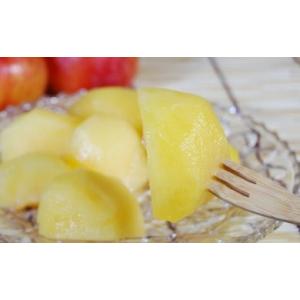 ふるさと納税 果物類 山形県 天童市 08-02-012　プラム(秋姫)2.4kg