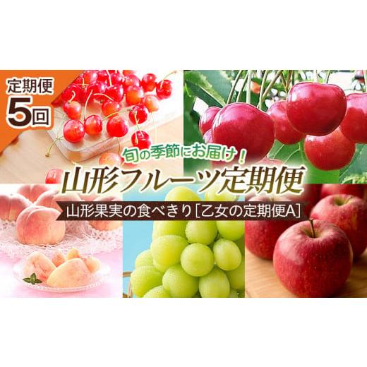 ふるさと納税 山形県 山形市 【定期便5回】山形果実の食べきり[乙女の定期便A] 【令和6年産先行予...