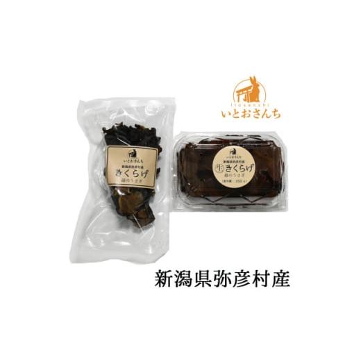 ふるさと納税 野菜類 きのこ 新潟県 弥彦村 新潟県弥彦村産　越のうさぎ 　生きくらげ250g、乾燥...