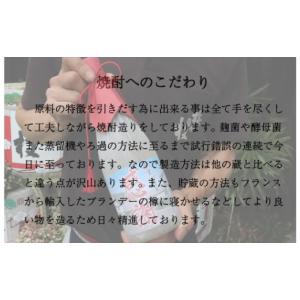 ふるさと納税 焼酎 麦 長崎県 佐世保市 C1...の詳細画像5