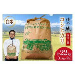 ふるさと納税 長野県 池田町 【俺の米】米 令和5年 コシヒカリ 精米 11kg×2袋 計22kg [薄井 大地 長野県 池田町 48110321] お米 白米 ごはん こしひかり 美味…