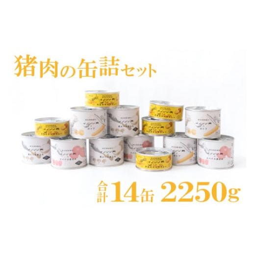 ふるさと納税 島根県 美郷町 イノシシ肉の缶詰 14缶セット【スパイス煮 200g×3 黒ビール煮 ...