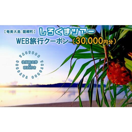 ふるさと納税 航空券+宿泊券 鹿児島県 龍郷町 奄美大島:龍郷町 しろくまツアーで利用可能なWEB...
