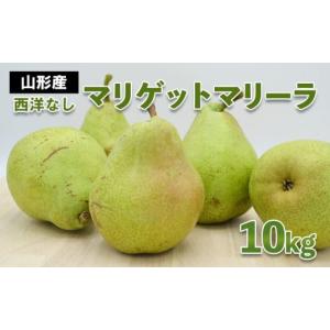 ふるさと納税 梨 山形県 山形市 山形市産 西洋なし(マリゲットマリーラ) 秀 10kg(5kg×2) 14玉〜30玉 令和8年産先行予約 FS24-585 くだもの 果物 フルーツ 山…
