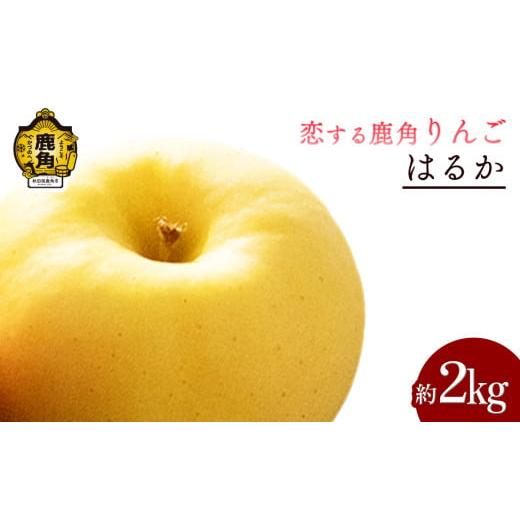 ふるさと納税 りんご 秋田県 鹿角市 《 先行予約 》令和7年産 秋田県鹿角産りんご「はるか」約 2...