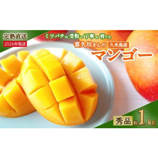 ふるさと納税 マンゴー 沖縄県 久米島町  2026年発送 ミツバチの受粉で育てた喜久川さんの完熟マ...