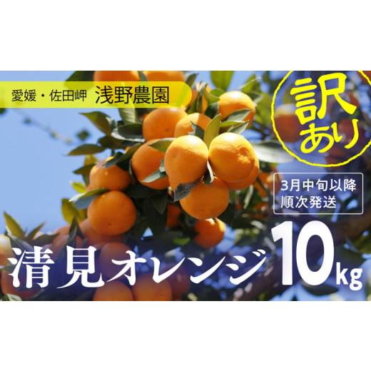 ふるさと納税 愛媛県 伊方町 訳あり 清見オレンジ計10kg｜愛媛県産 伊方町特産品 佐田岬 浅野農...