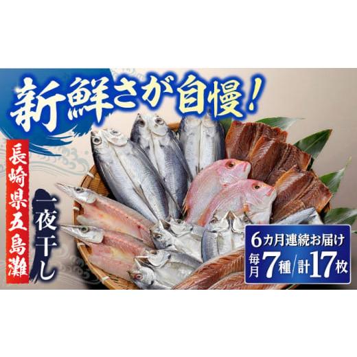 ふるさと納税 長崎県 長崎市 【6回定期便】長崎五島灘荒波一夜干し 合計17枚 干物 詰め合わせ 長...