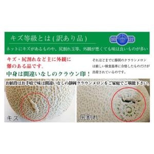 ふるさと納税 メロン メロン青肉 静岡県 袋井...の詳細画像2