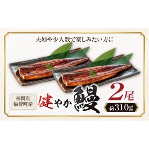 ふるさと納税 うなぎ 福岡県 福智町 Z61-...の詳細画像2