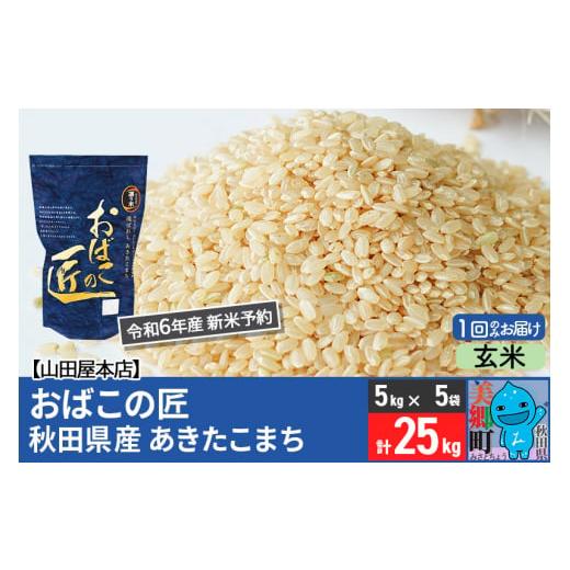 ふるさと納税 秋田県 美郷町 【玄米】＜令和6年産 新米予約＞おばこの匠 秋田県産あきたこまち 25...