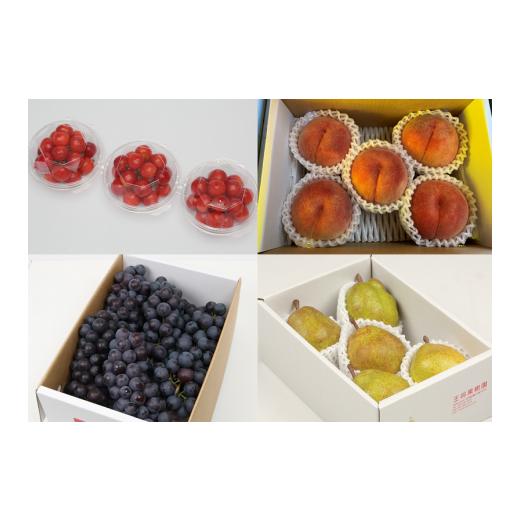 ふるさと納税 果物類 さくらんぼ 山形県 天童市 08-03-030　果樹園物語(歩兵プラン)全4回