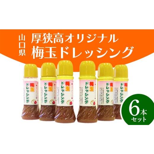 ふるさと納税 山口県 山陽小野田市 厚狭高　オリジナル梅玉ドレッシング６本セット F6L-619