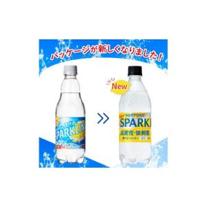 ふるさと納税 炭酸飲料 山梨県 北杜市 サント...の詳細画像2