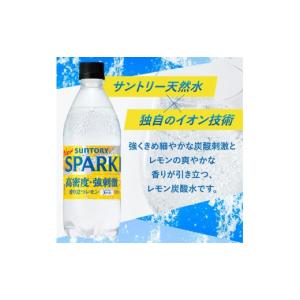 ふるさと納税 炭酸飲料 山梨県 北杜市 サント...の詳細画像3