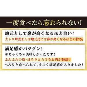 ふるさと納税 加工品等 長崎県 五島市 全12...の詳細画像3