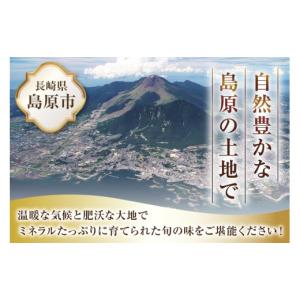 ふるさと納税 いちご 長崎県 島原市 CG08...の詳細画像3