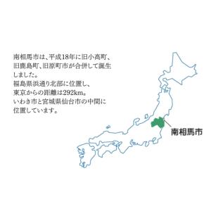 ふるさと納税 雑貨・日用品 福島県 南相馬市 ...の詳細画像5