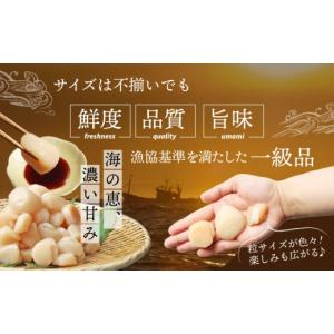 ふるさと納税 魚貝類 ホタテ 北海道 興部町 ...の詳細画像5