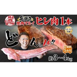 ふるさと納税 牛肉 ヒレ 岐阜県 安八町 No.5331-0258 飛騨牛 ヒレ肉 ブロック A4〜A5等級 1本5ヵ月定期便約3〜4kg 3割×5 ヒレ シャトーブリアン 肉 牛肉 ブ…