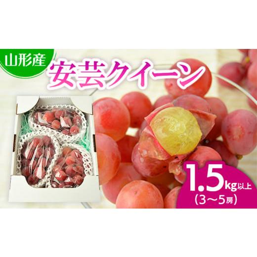 ふるさと納税 山形県 山形市 山形市本沢ぶどう安芸クイーン 1.5kg以上(3〜5房) 【令和6年産...