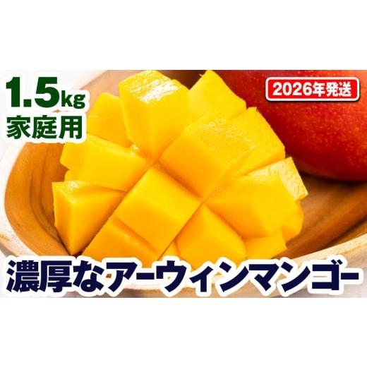 ふるさと納税 マンゴー 沖縄県 南風原町  2026年発送 濃厚なアーウィンマンゴー1.5kg　家庭...