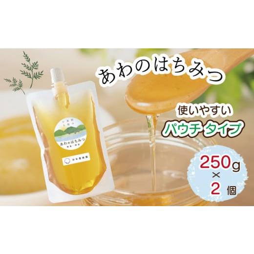 ふるさと納税 徳島県 阿波市  はちみつ 500g ( 250g × 2個 ) 国産 非加熱 パウチ...