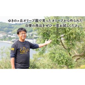 ふるさと納税 塩・だし ハーブ・風味付き 長崎...の詳細画像5