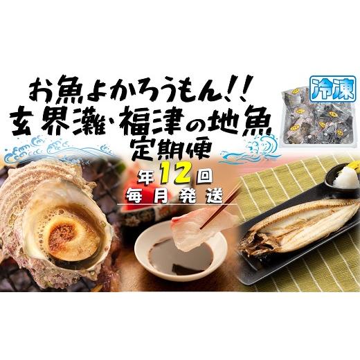 ふるさと納税 福岡県 福津市 【年12回毎月】お魚よかろうもん！玄界灘・福津の地魚お楽しみ定期便【冷...