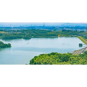ふるさと納税 アウトドアグッズ 愛知県 東郷町...の詳細画像5