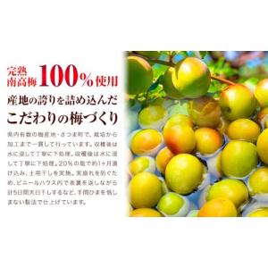 ふるさと納税 加工品等 梅干 鹿児島県 さつま...の詳細画像2
