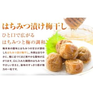 ふるさと納税 加工品等 梅干 鹿児島県 さつま...の詳細画像3