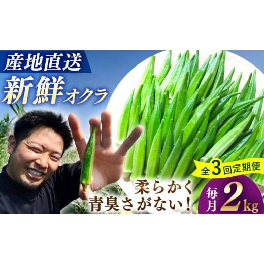 ふるさと納税 長崎県 西海市 【3回定期便】【先行予約】 オクラ 約2kg 夏野菜 野菜 新鮮 ＜パ...