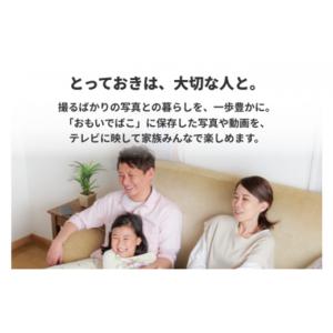 ふるさと納税 電化製品 愛知県 日進市 BUF...の詳細画像4