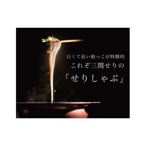 ふるさと納税 鍋セット 秋田県 湯沢市 ＼TV青空レストランに登場／